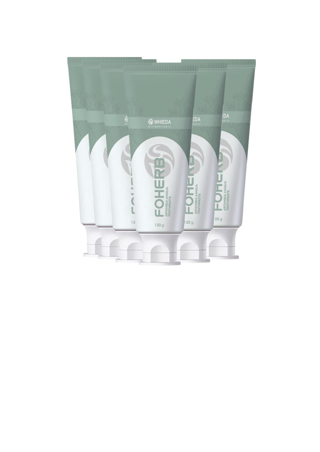 Zahnpasta FOHERB Artemisia Annua - "Sanfte, natürliche Pflege – für Ihre Zahngesundheit und einen frischen Atem"
